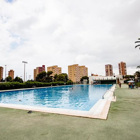 Great Panoramic View Studio Apartment Benidorm Zewnętrze zdjęcie
